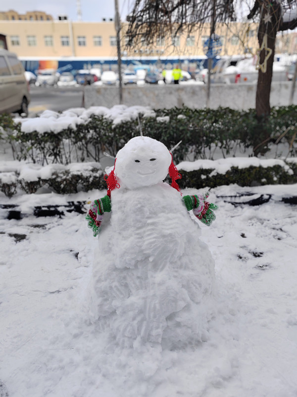 Neige, nous avons une bataille de boules de neige.